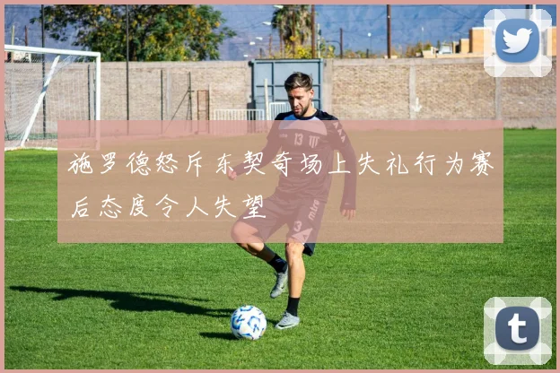 施罗德怒斥东契奇场上失礼行为赛后态度令人失望