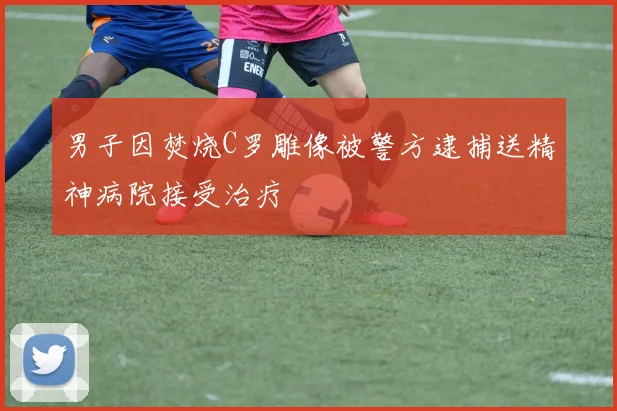 男子因焚烧C罗雕像被警方逮捕送精神病院接受治疗