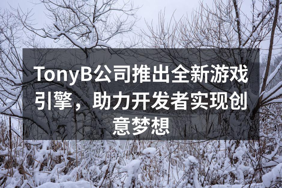 TonyB公司推出全新游戏引擎,助力开发