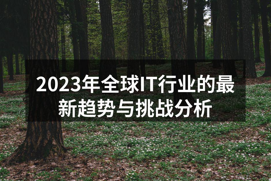 2023年全球IT行业的最新趋势与挑战分