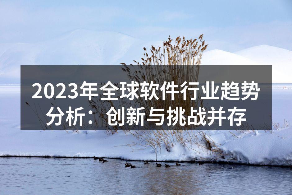 2023年全球软件行业趋势分析:创新与挑