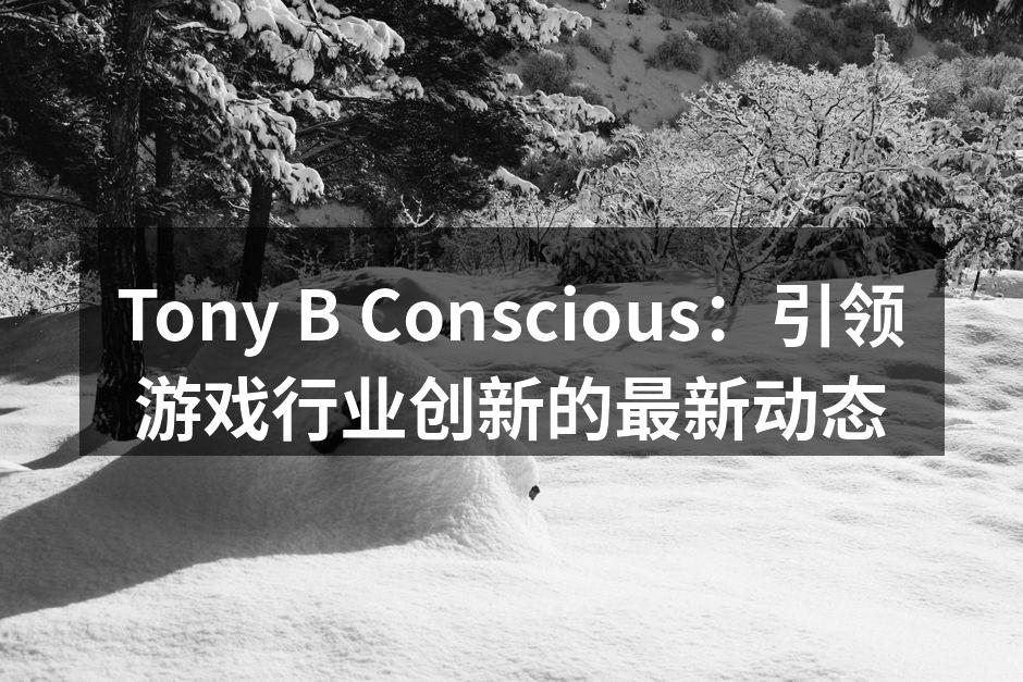 Tony B Conscious:引领游