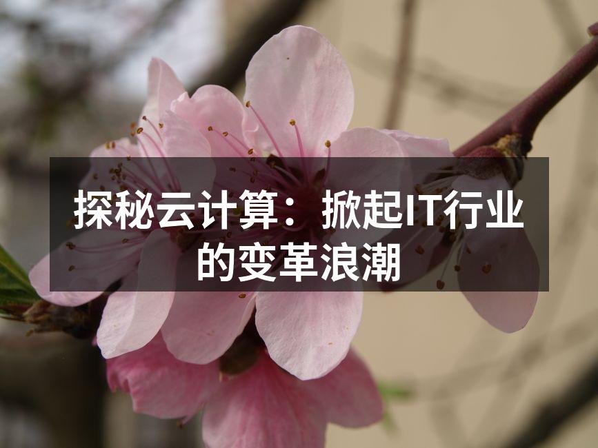 探秘云计算:掀起IT行业的变革浪潮